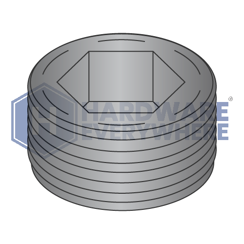 1/4 SOCKET PIPE PLUGS / Steel / Plain