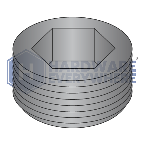 3/4 SOCKET PIPE PLUGS / Brass / Plain