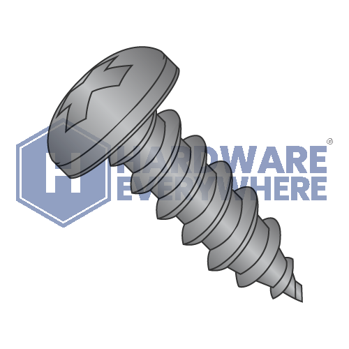 #10 x 2 SHEET METAL SCREWS / Phillips / Pan Head / 18-8 Stainless / Black Oxide